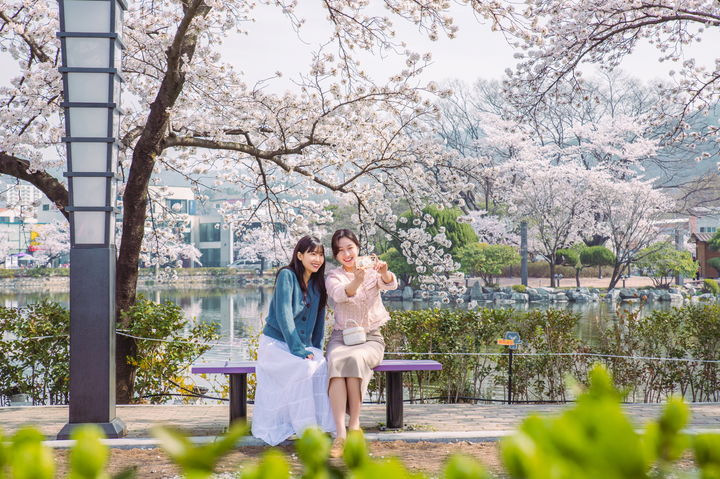 연화지 이미지