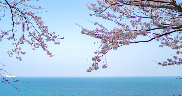 꽃섬 이미지