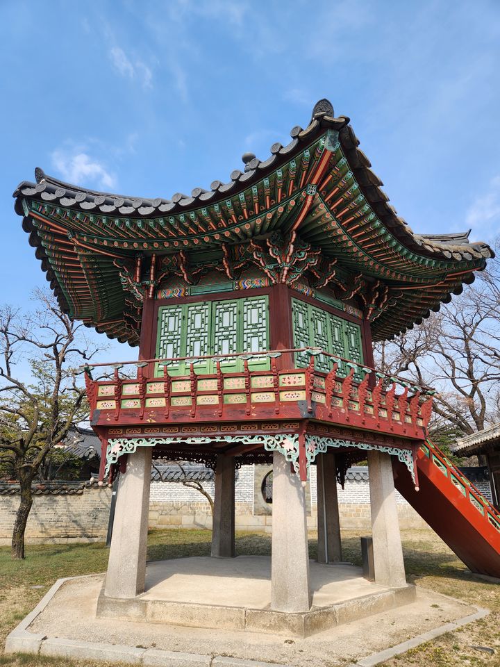 뒤뜰 이미지