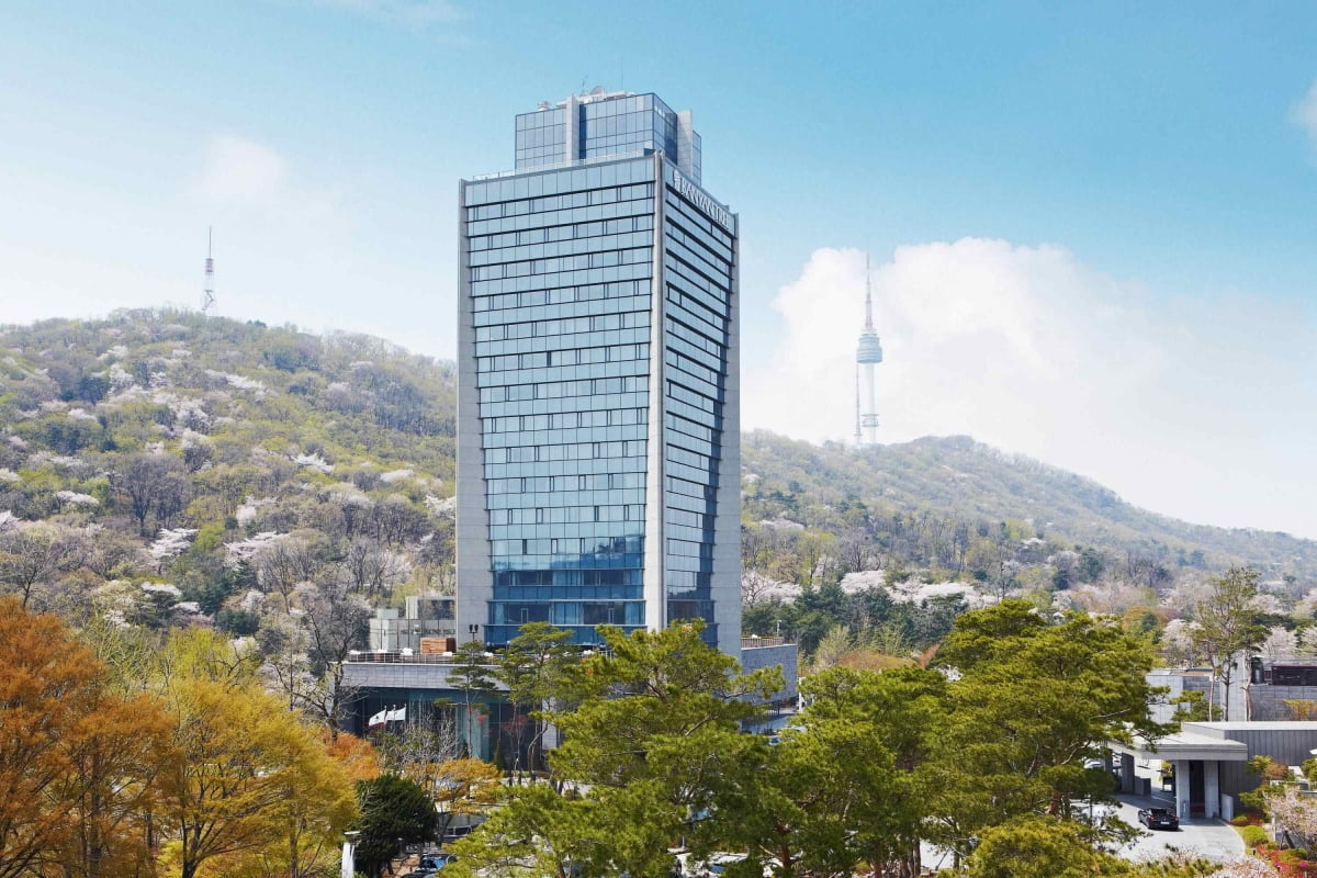 서울피자앤치킨 이미지