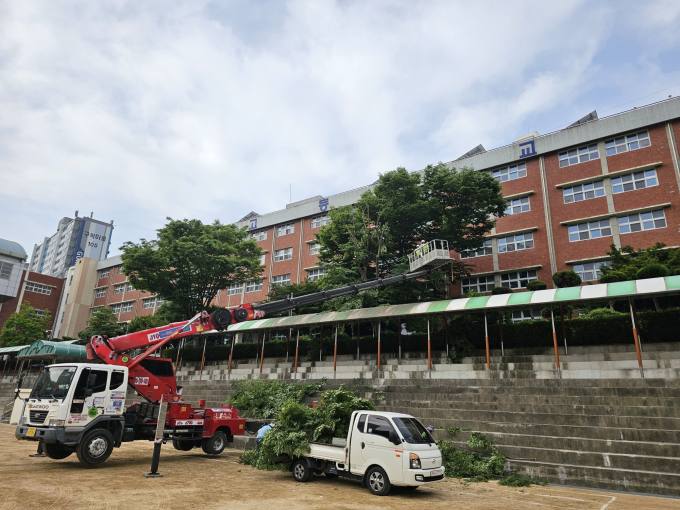 수목 이미지