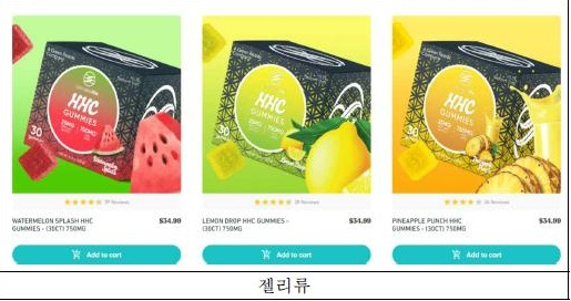 에이치.피.아이 이미지