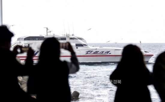 썬풀라워 이미지