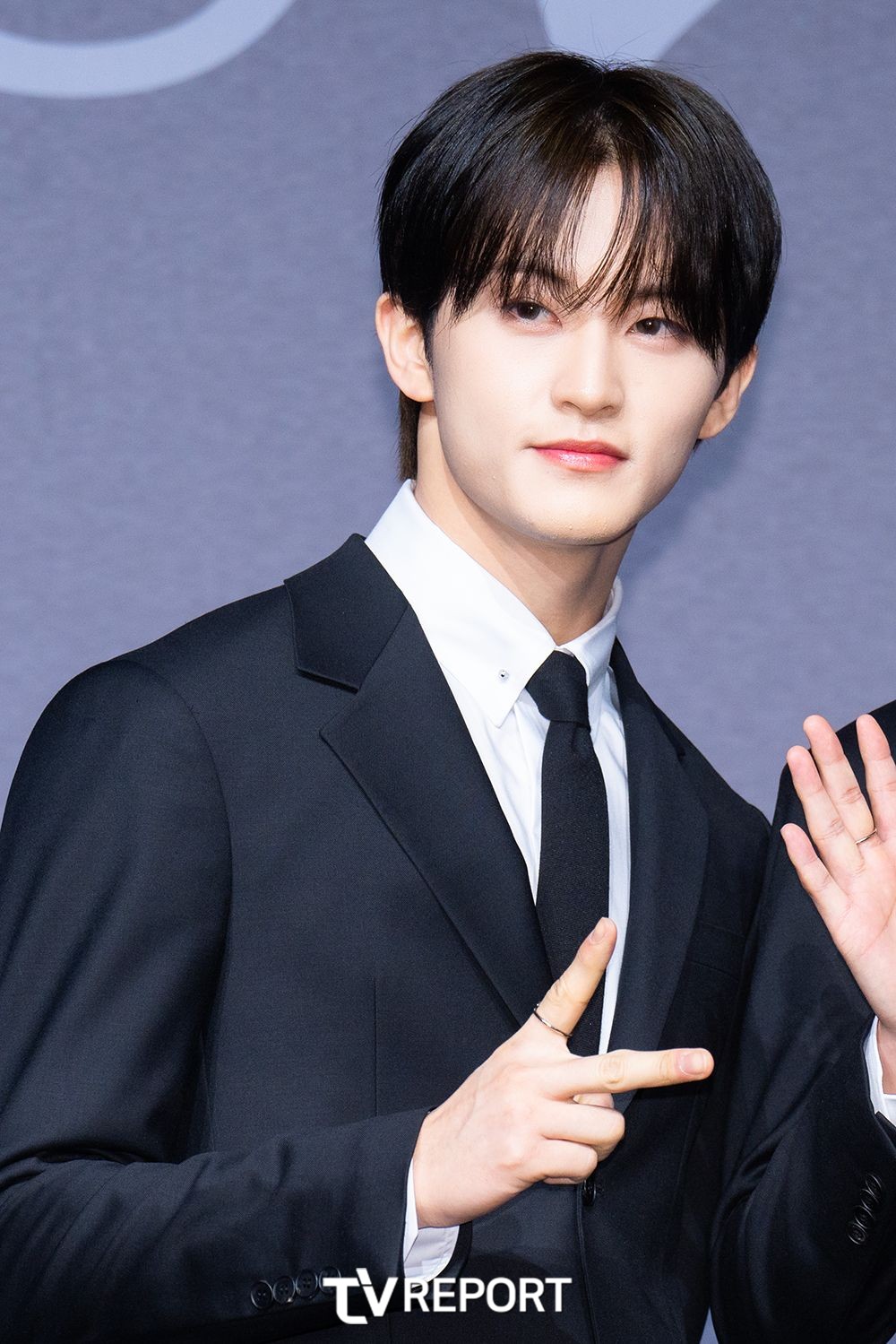 브이마크 이미지