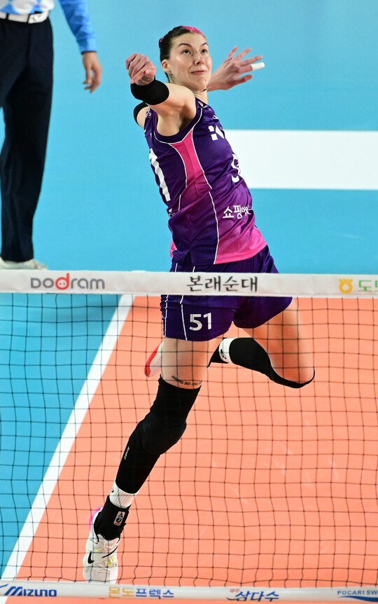 윌로우 이미지