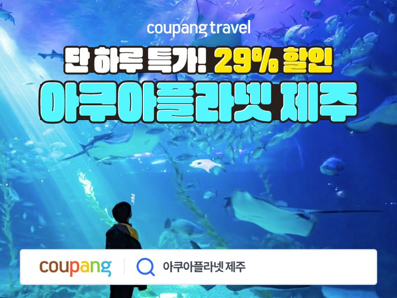 29 이미지