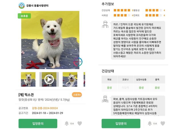 포인핸드 이미지