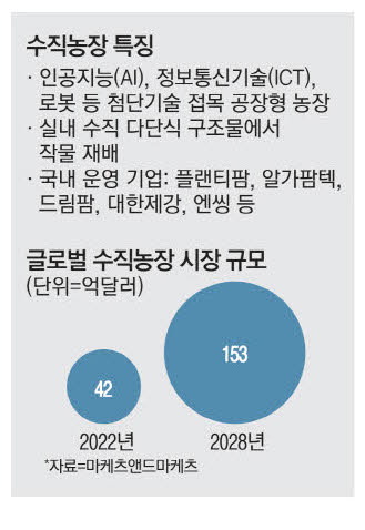 신선채소 이미지