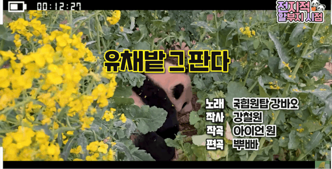 /출처=말하는 동물원 뿌빠 TV