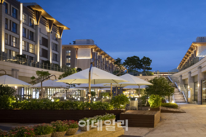 제주봄 이미지