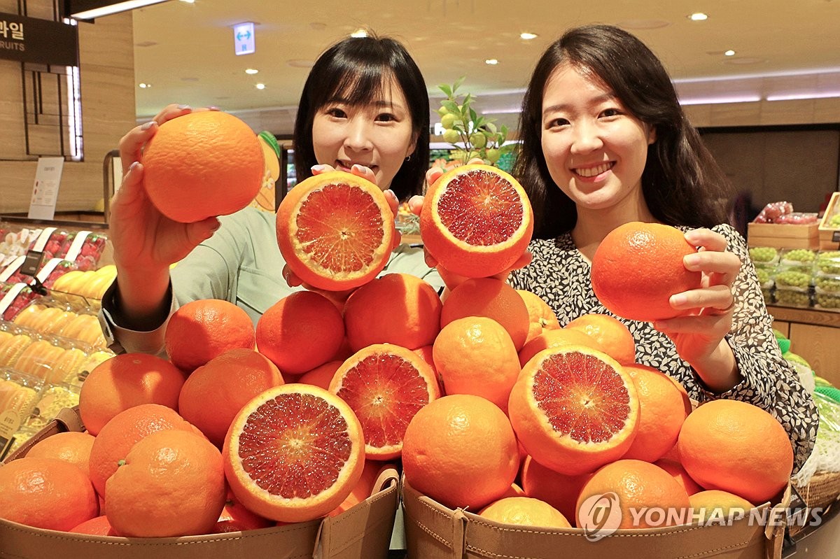 오렌지 이미지