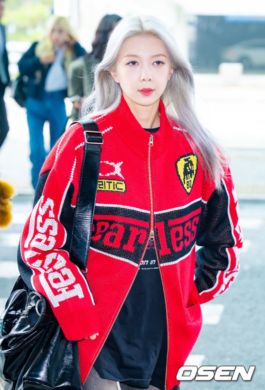 다미 이미지