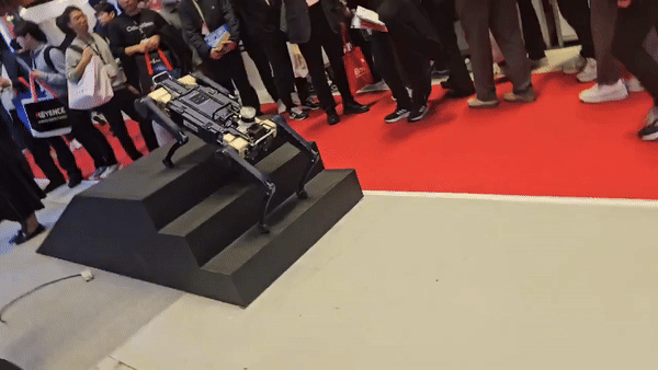 레인보우로보틱스가 만든 4족보행 로봇. /영상= 오진영 기자