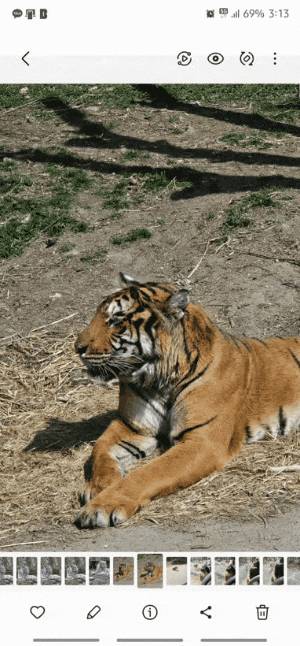 기자의 갤럭시 S23 울트라를 활용해 호랑이 사진의 하반신을 생성해 본 결과. 생성 과정에 총 2분 9초가 소요됐다. 기자 스마트폰 캡처