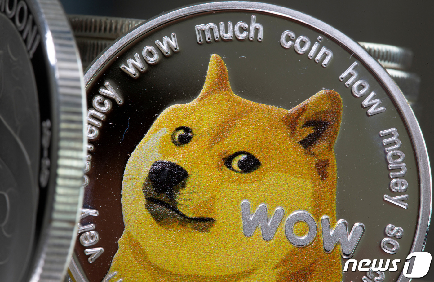 비트코인 1.4% 상승하는 데 도지코인은 9.2% 급등