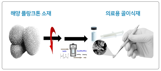 셀코 이미지