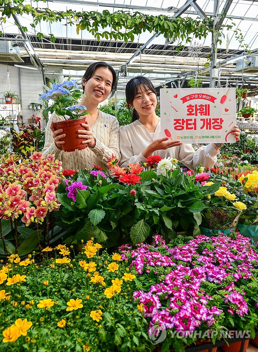 장터마트 이미지