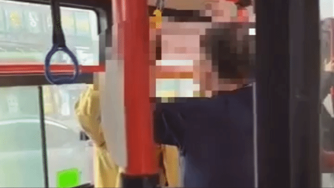 A씨가 자신을 만류하는 고령 남성 C씨와 실랑이를 벌이다 급기야 주먹질을 하려 한 모습. / 온라인 커뮤니티