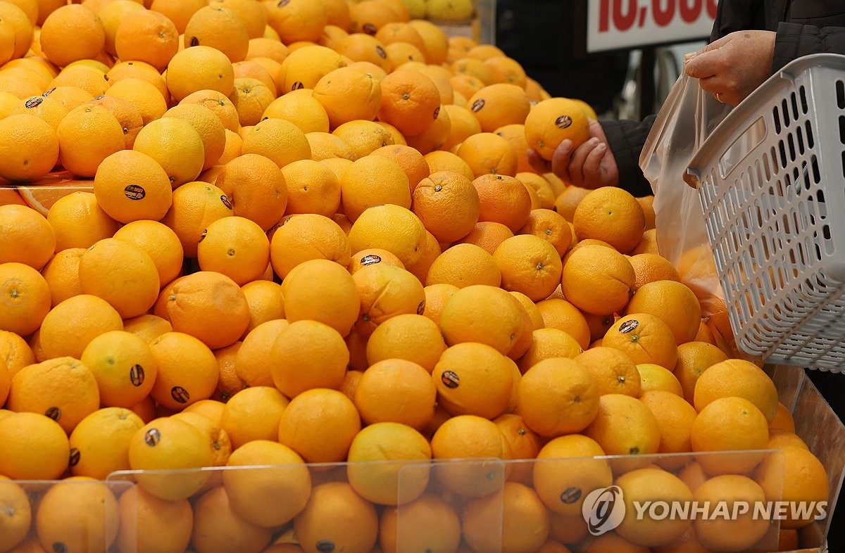 오렌지할인마트 이미지