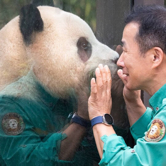 다복해 이미지