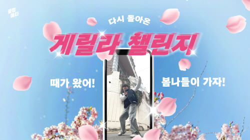 메타 이미지