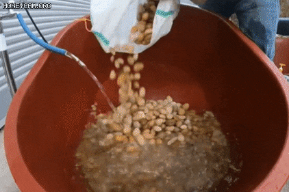 온양석산 김대리가 공개한 '돌 씻는 영상'이 조회수 900만회를 넘었다./인스타그램