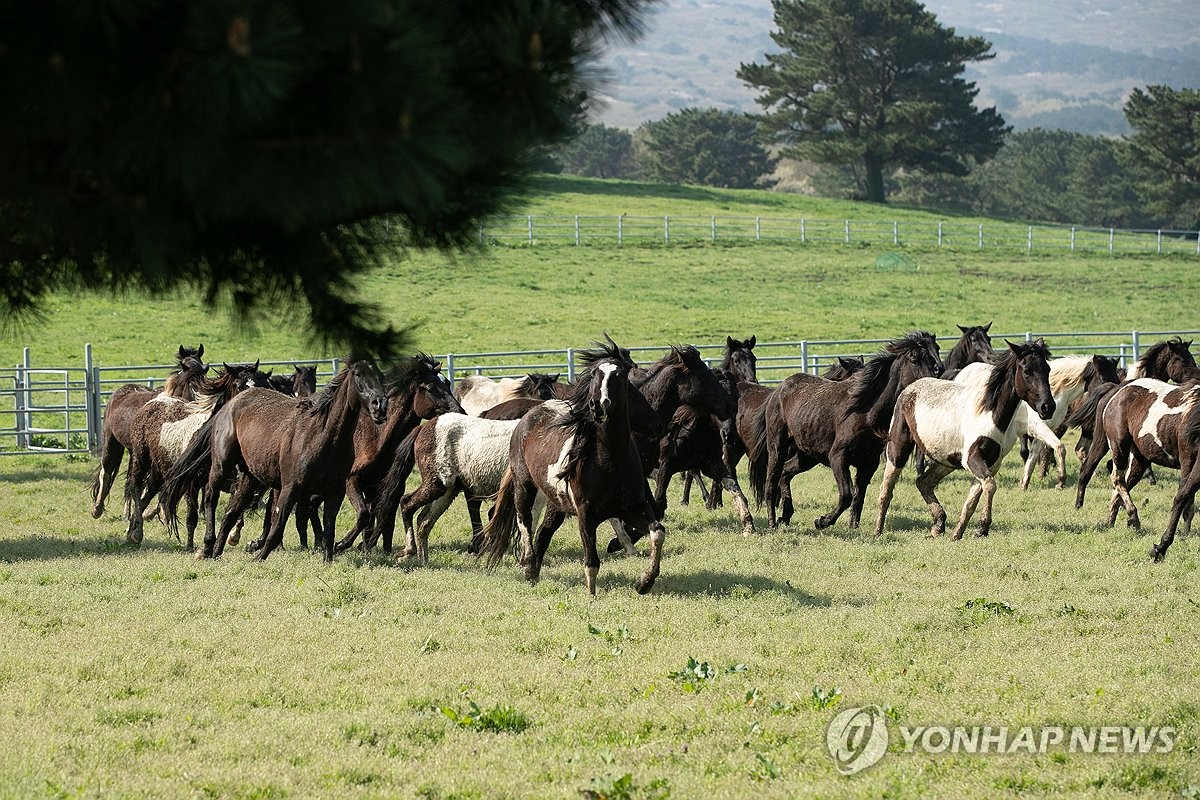 초지축산 이미지