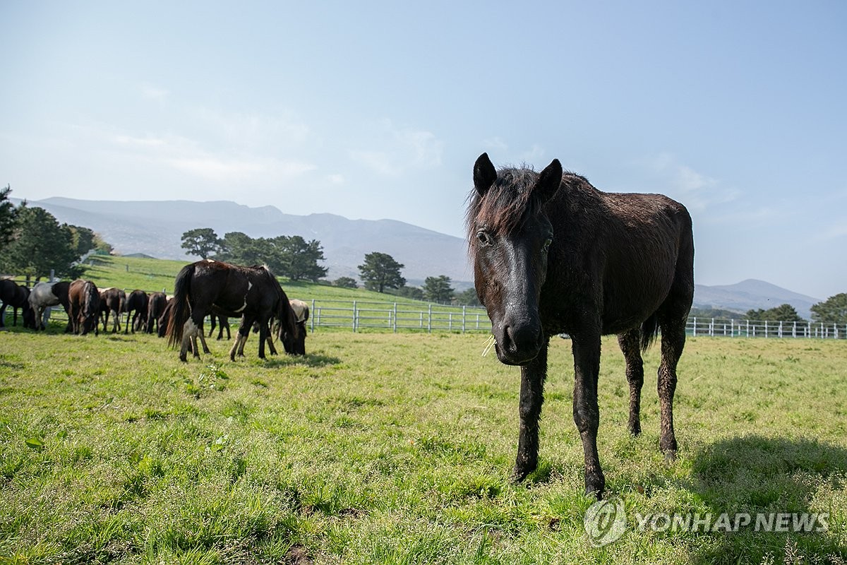 초지축산 이미지