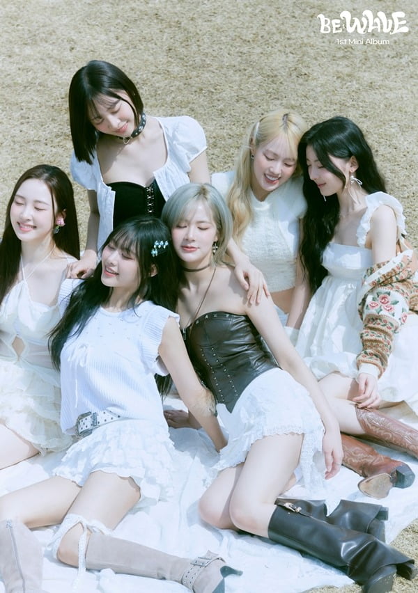 웨이브엔터테인먼트 이미지