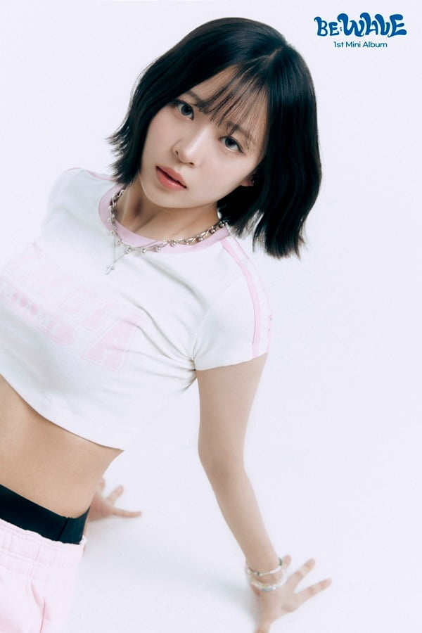 웨이브엔터테인먼트 이미지
