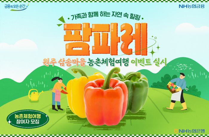 레 이미지
