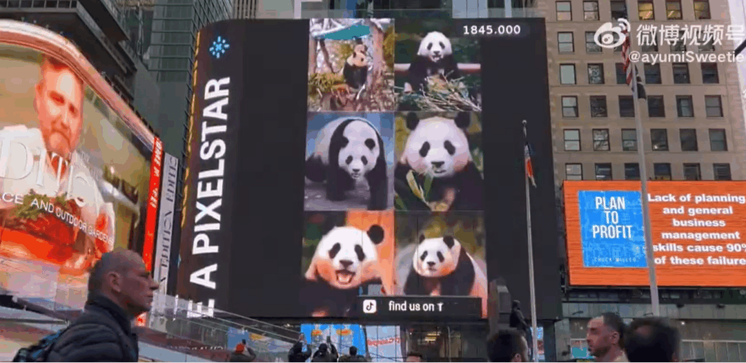푸바오 동영상 광고가 뉴욕 타임스퀘어 전광판에 나오고 있다./출처=중국 웨이보