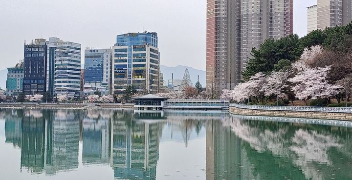 공원매점 이미지