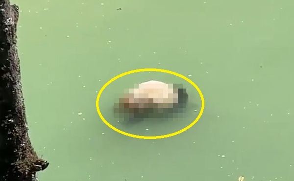 강가에.... 이미지