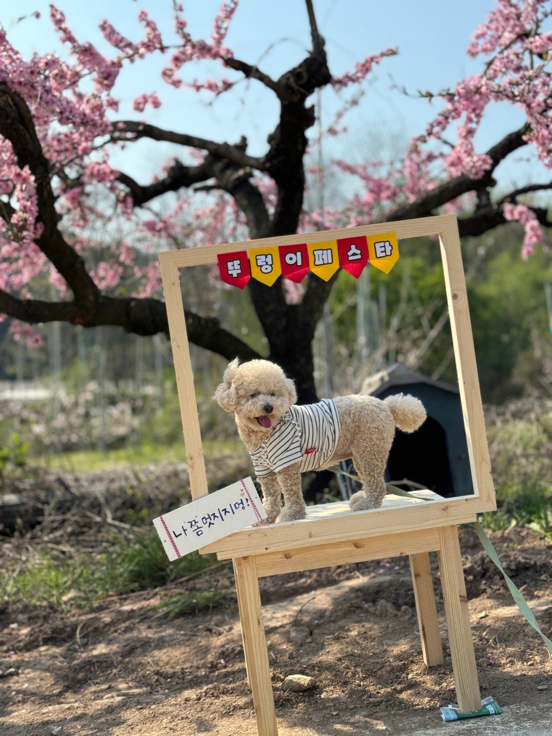 플라이 이미지
