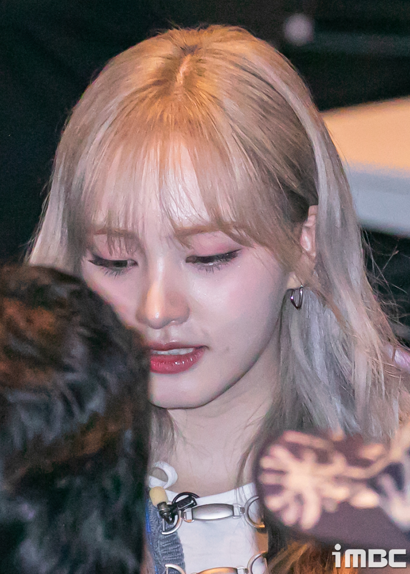 스테프 이미지