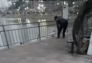 커뮤니티에는 지난달 19일에도 동일인으로 추정되는 남성에게 폭행당하는 건구스 영상이 올라오기도 했다. 해당 영상을 보면 남성이 거위들에게 ‘왁왁’ 거리며 대화하는 듯 하다가 손으로 때리는 모습이 담겨있다(사진= 온라인 커뮤니티 갈무리) *재판매 및 DB 금지