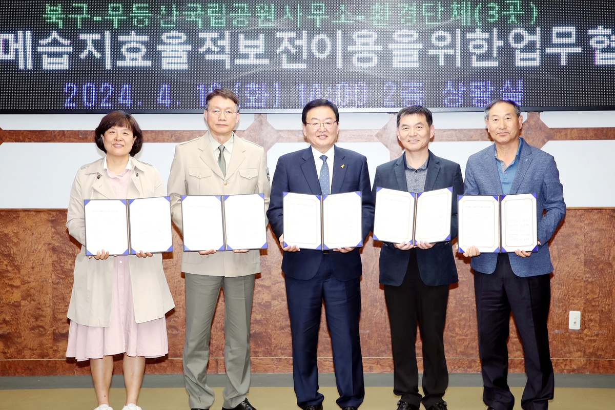 두메 이미지