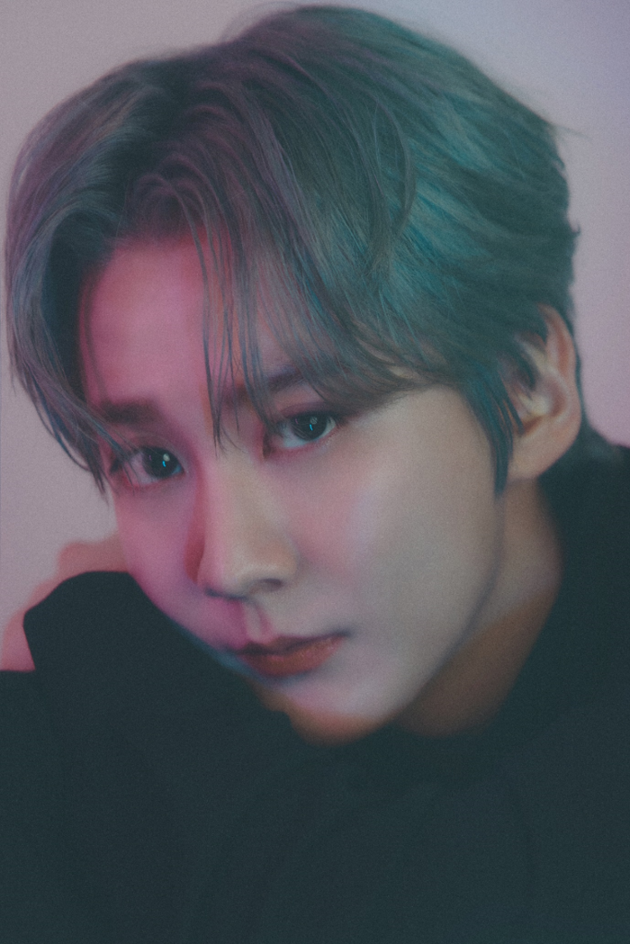 천지비디오 이미지