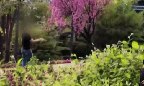 서울 한 공원에서 남성이 낚시 연습을 하고 있다. /영상=JTBC '사건반장'