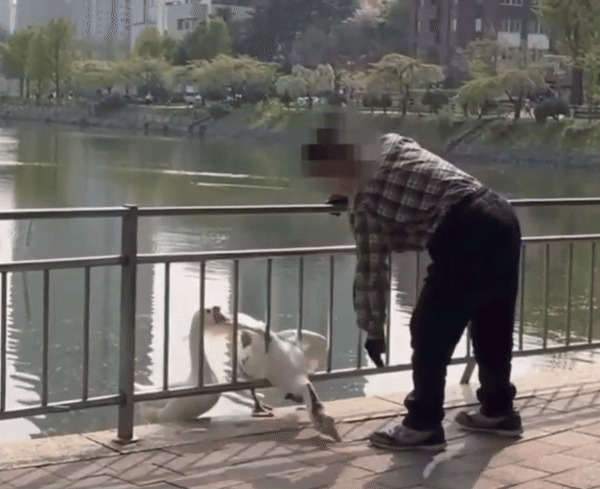 [동물자유연대 인스타그램 캡처]