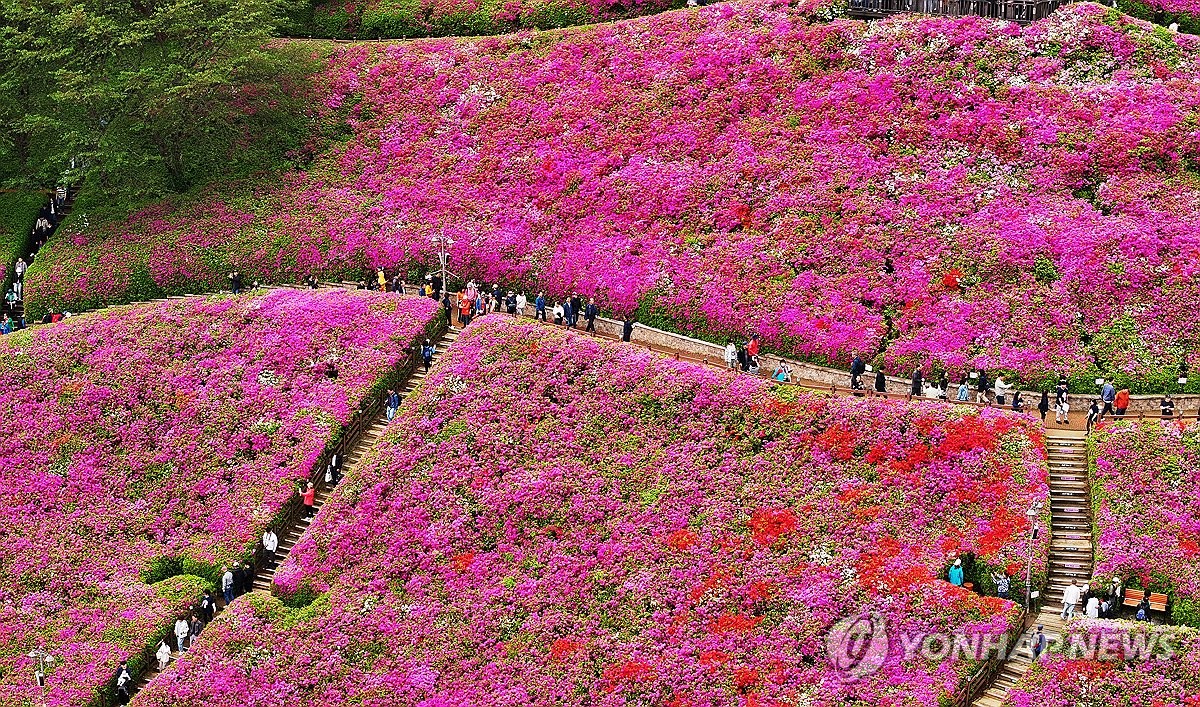 대궐 이미지