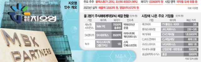 빅딜 이미지