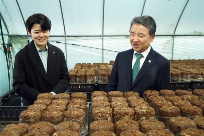 백두표고 이미지