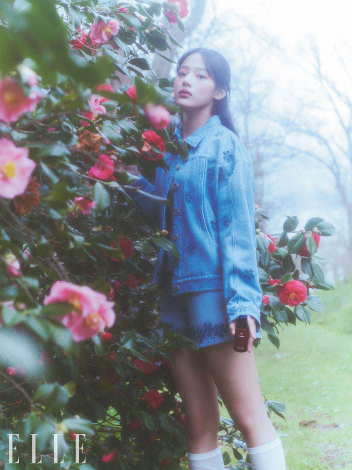 까멜리아 이미지