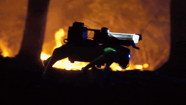 미국에서 온라인 판매를 시작한 화염방사기를 장착한 로봇 개 '써모네이터'. 사진=쓰로우플레임