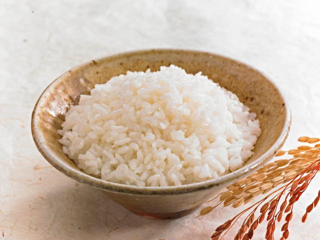밥 이미지