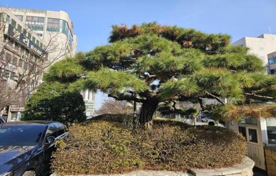유성관광호텔 이미지