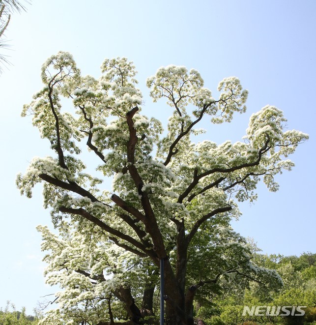 이팝 이미지