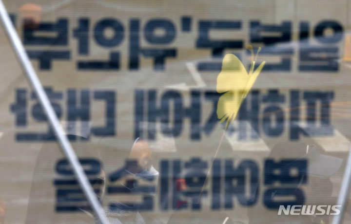나비의꿈 이미지